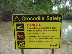 WATCH OUT !