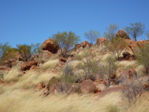 P1060957