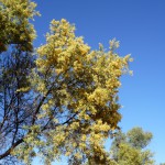 P1070113