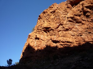 P1070419
