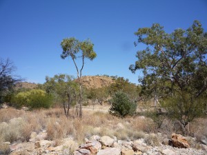 P1070481