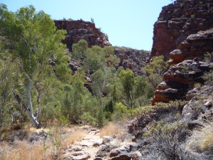 P1070486
