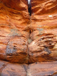 P1070781