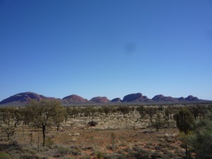 P1080302