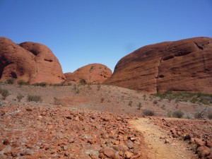 P1080422