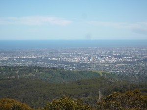 P1090695