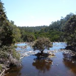 Dip Falls