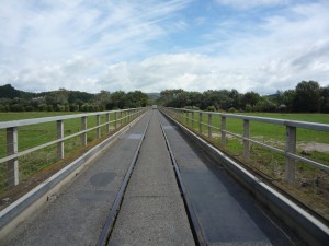 Shared Road