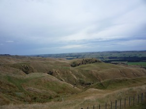 Stormy Point