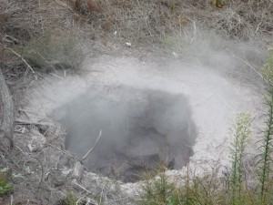 Thermalfeld