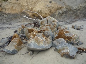P1100904