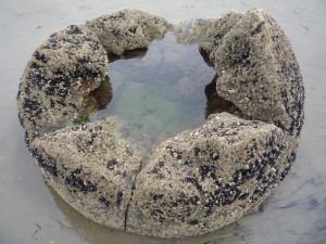 P1100910