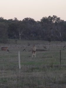 P1120140